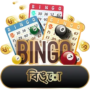 Bingo_jeetwin live casino